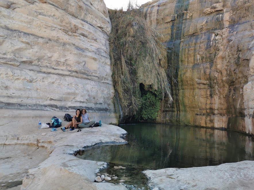Swimming in Ein Aqev spring