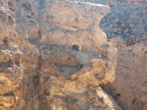 the Burning Bush, Mt. Karkom