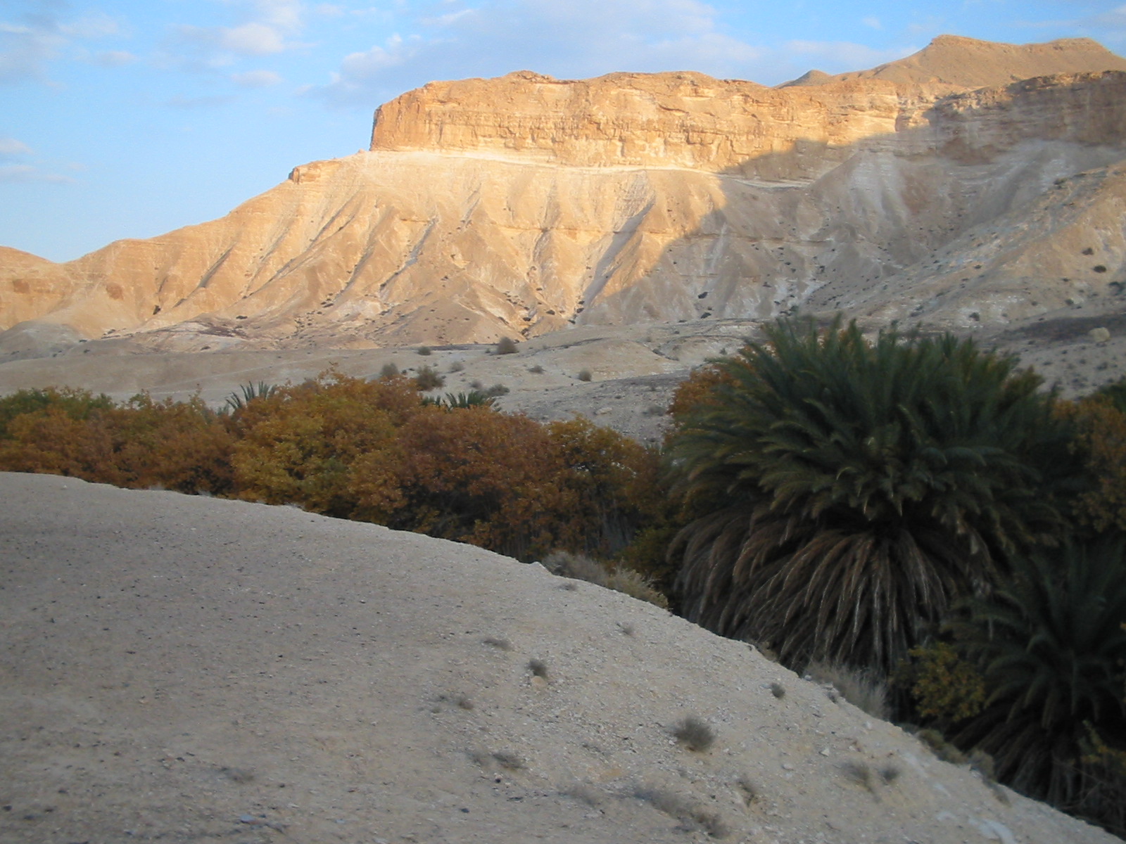 Jeep Tour zin valley